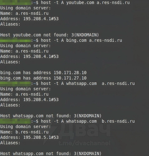 Фото: t.me/dvachannel