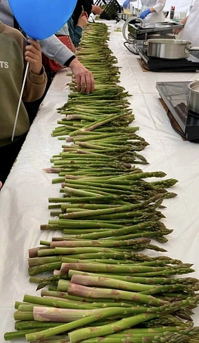 Фото: Ossetia.news