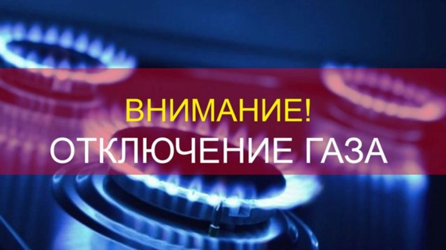 Фото: Открытый источник 