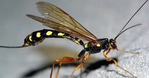 Фото: открытый источник