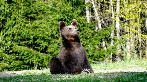 Фото: Открытый источник