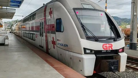 Фото: открытый источник