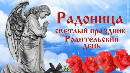 Фото: открытый источник