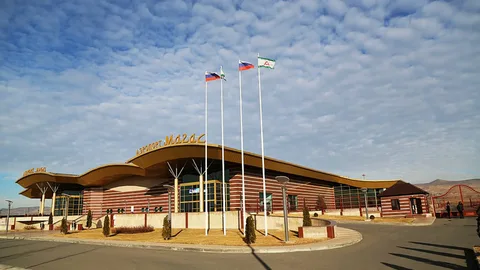 Фото: открытый источник