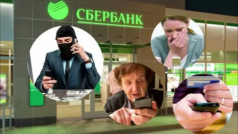 Фото: открытый источник