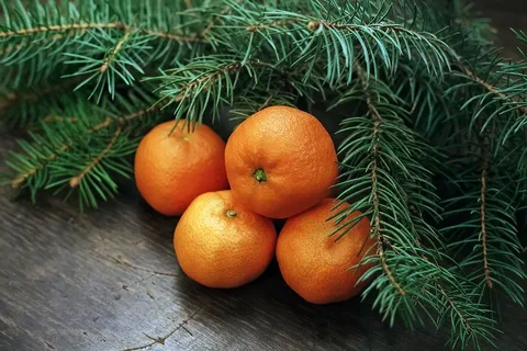 Фото: Открытый источник