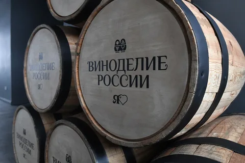 Фото: открытый источник