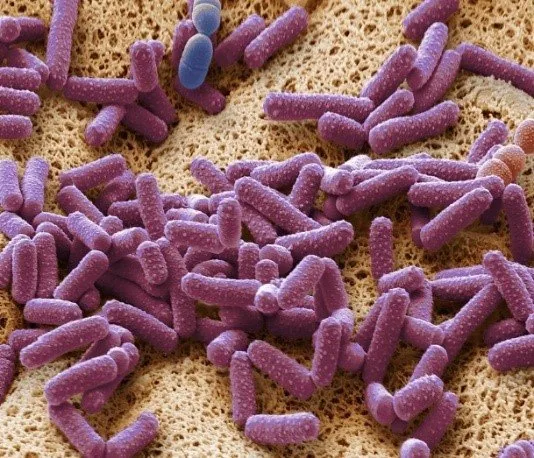 Фото: Зайцев+