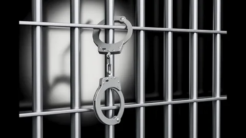 Фото: открытый источник