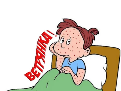 Фото: Открытый источник