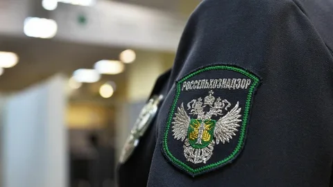 Фото: Открытый источник