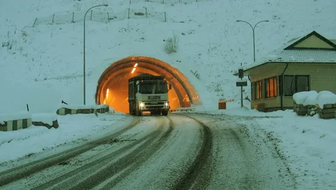 Фото: открытый источник