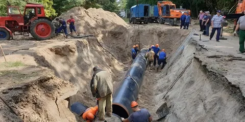 Фото: открытый источник