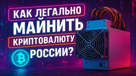 Фото: открытый источник