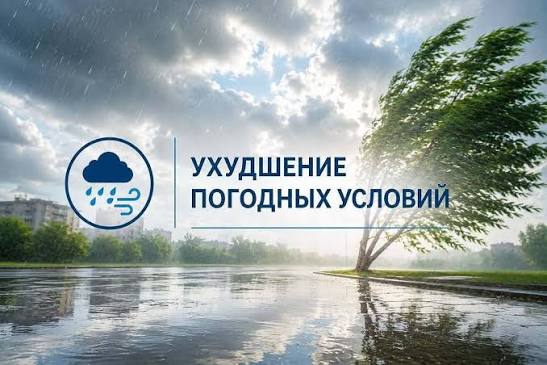 Фото: Открытый источник 