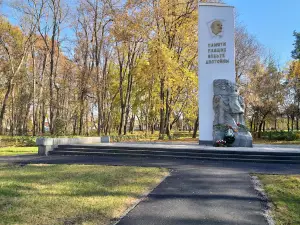 Фото: открытый источник