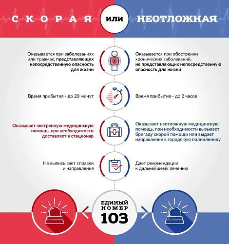 Фото: из сети интернет