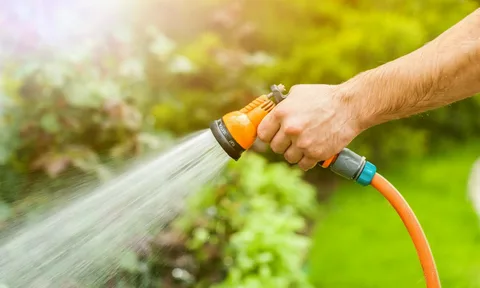 Фото: Открытый источник