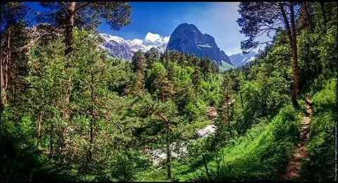 Фото: Открытый источник