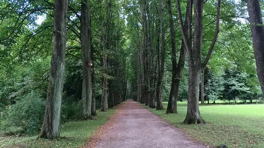 Фото: Яндекс 