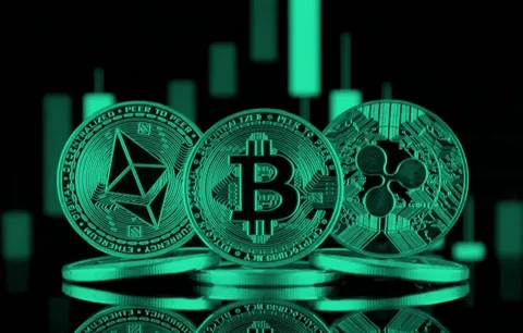 Фото: открытый источник