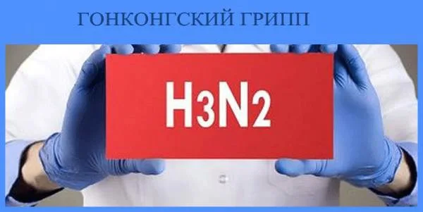 Фото: открытый источник