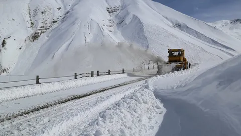 Фото: открытый источник