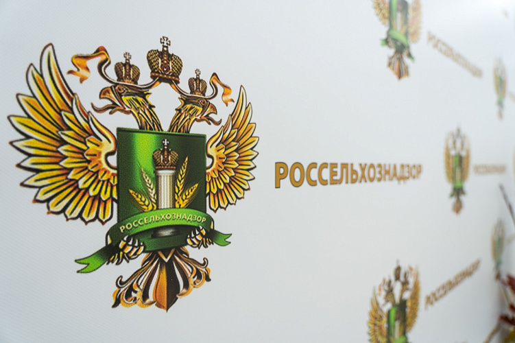 Фото: Ленинский муниципальный округ 