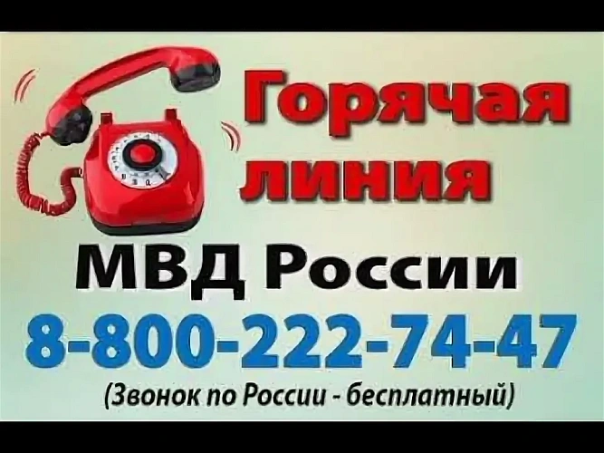 Фото: открытый источник