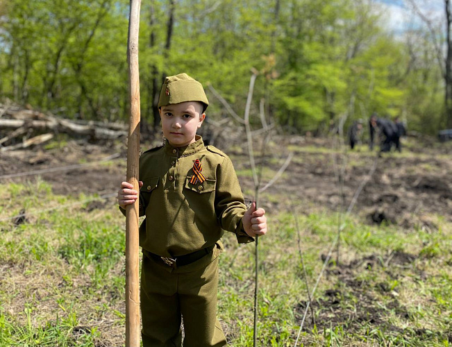 Фото: Ир Информ