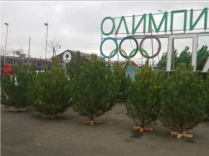 Фото: открытый источник