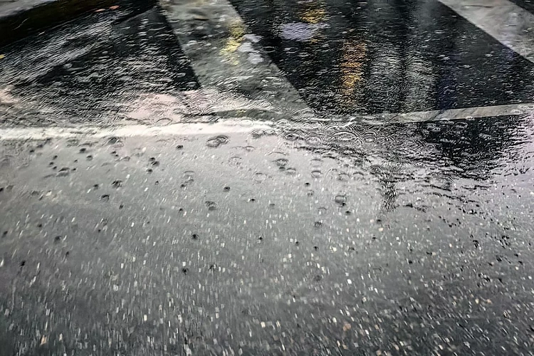 Фото: Кубанские новости 