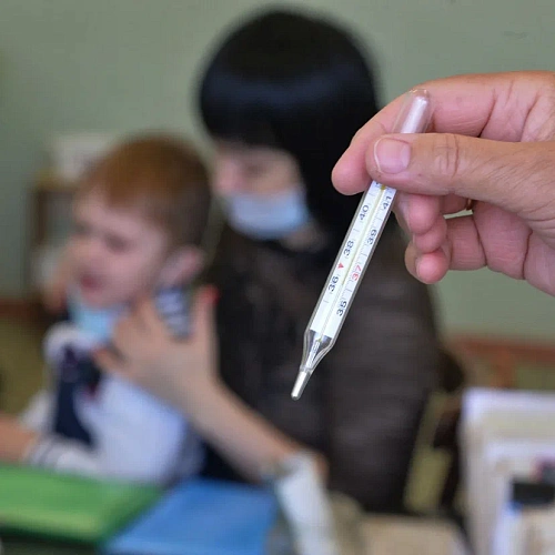 Фото: sputnik-georgia.ru