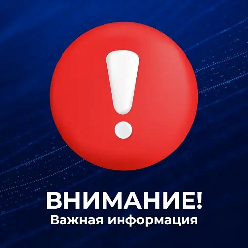 Фото: открытый источник