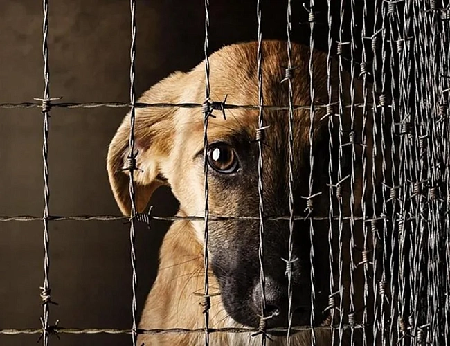 Фото: murmansk.mk.ru