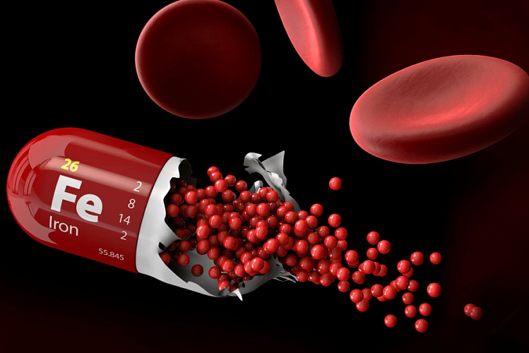 Фото: СИНЭКС