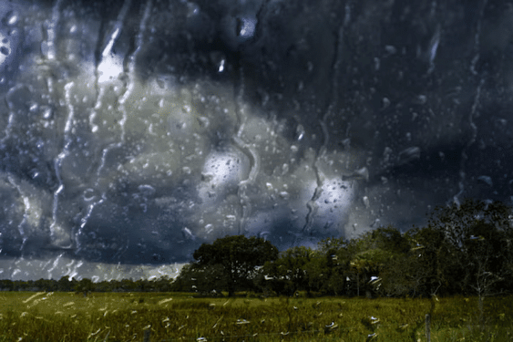 Фото: medias24.com