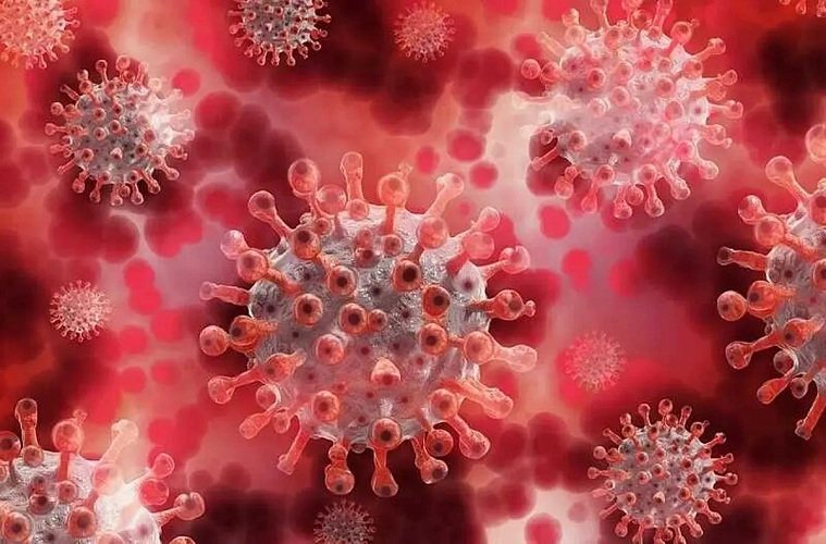 Фото: БрестСИТИ