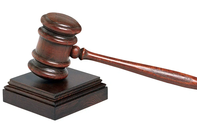 Фото: открытый источник