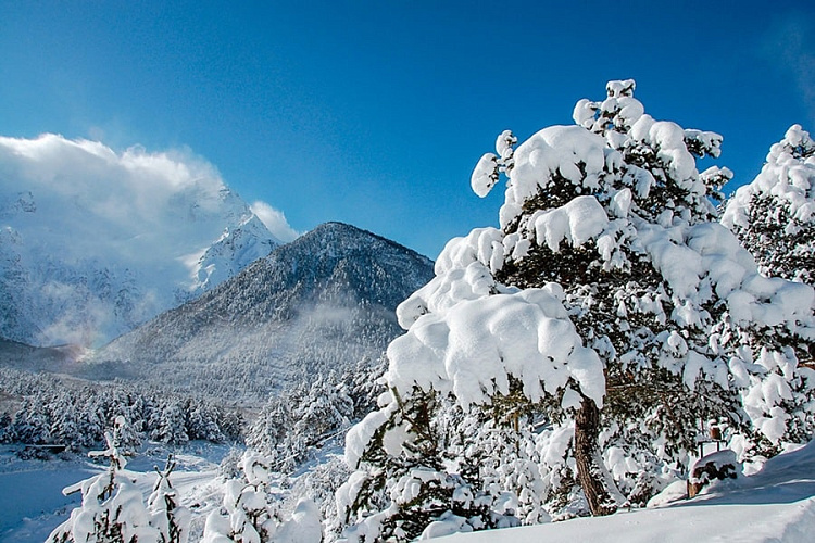 Фото: Открытый источник 