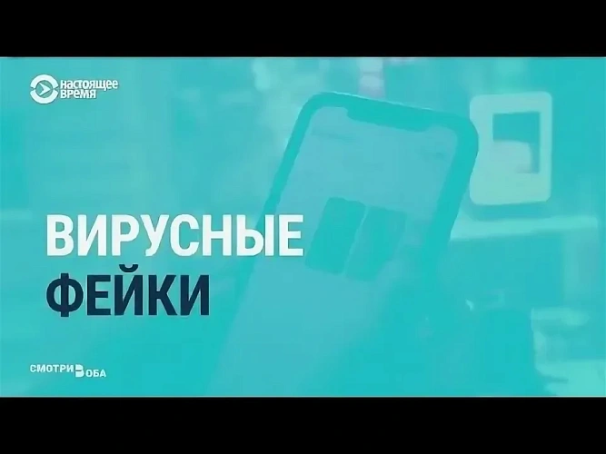 Фото: открытый источник