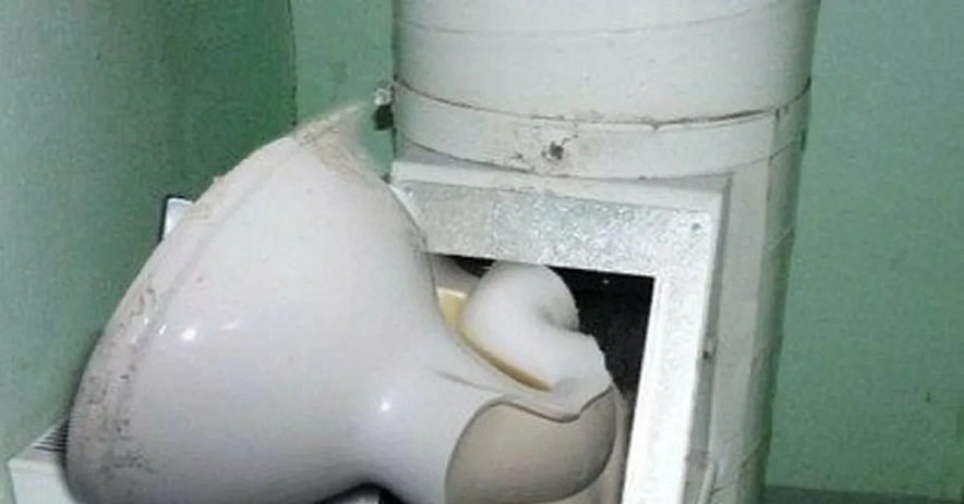 Фото: Открытый источник