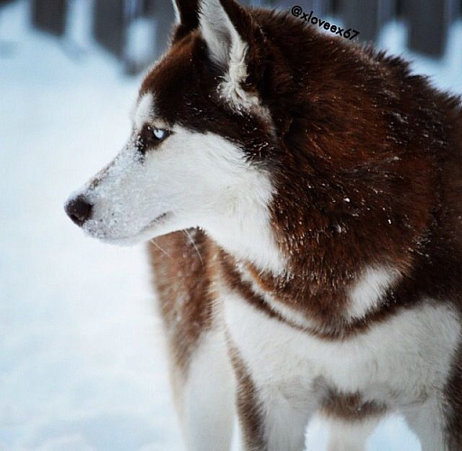 Фото: открытый источник