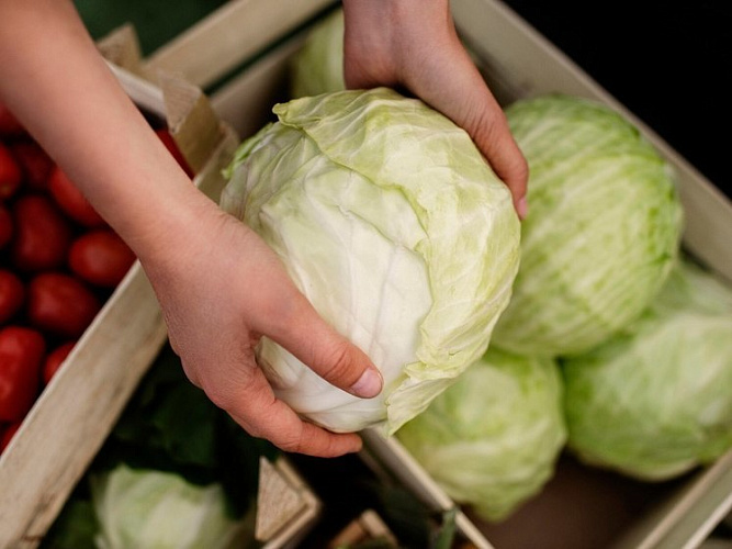 Фото: Московский комсомолец 