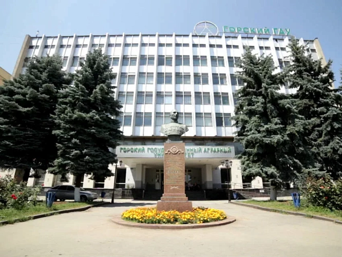 Фото: festivalnauli.ru