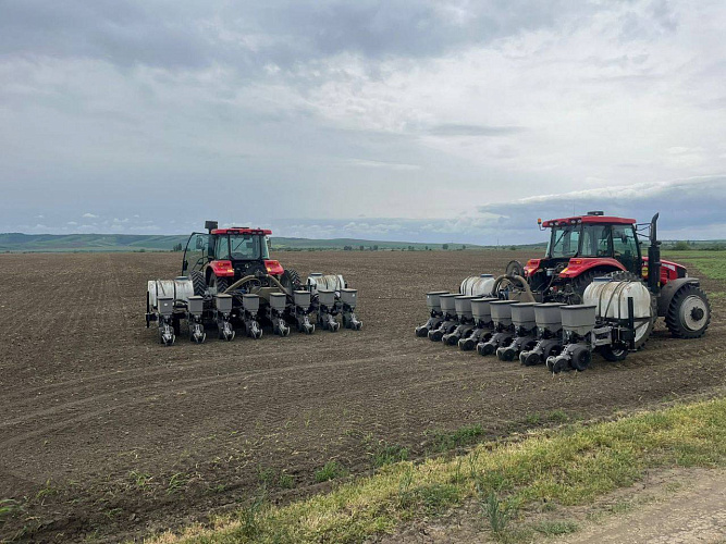 Фото: Сергей Меняйло 