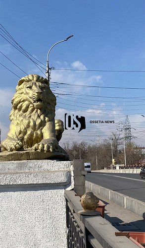 Фото: Ossetia News